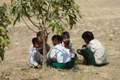 yetwinge (INLE2) 361