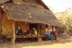 yetwinge (INLE2) 381